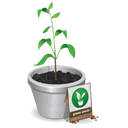 Agricultura